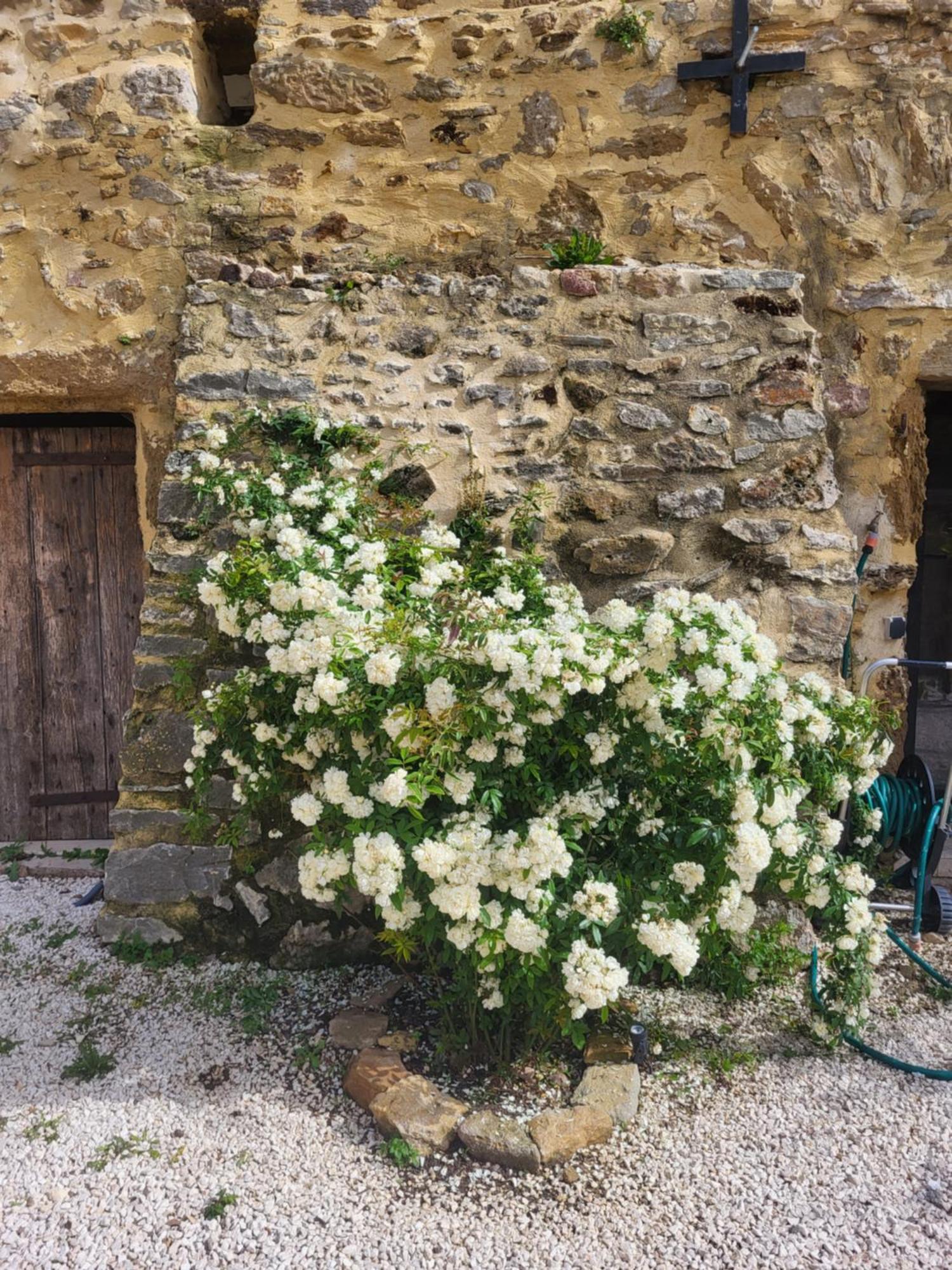 Bastide De La Madeleine Bed & Breakfast Pougnadoresse Exterior photo